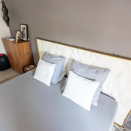 Very Eautiful Flat In The Marais